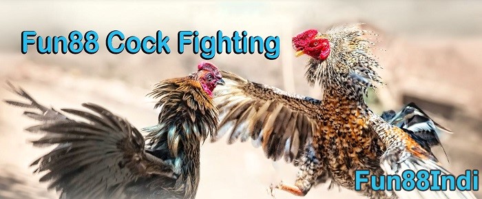 Fun88-cock-fighting-00